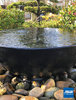 Gartenbrunnen Wasserschale Bowl